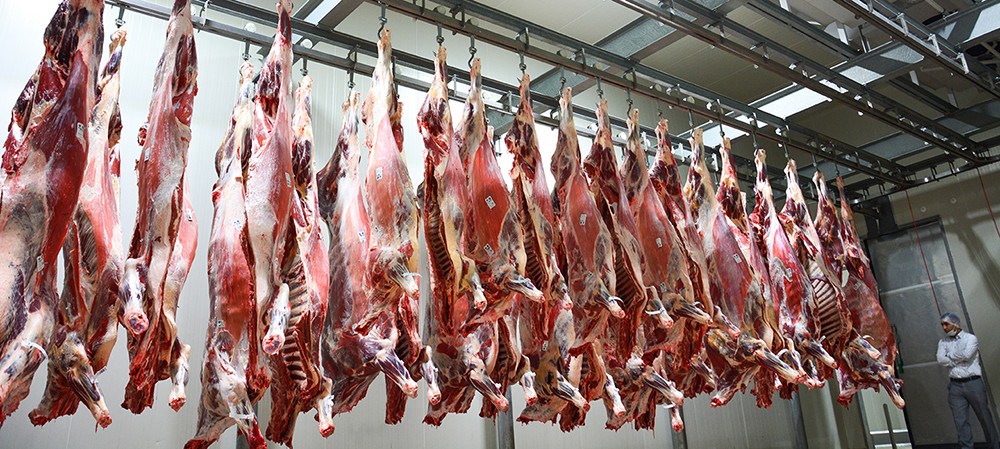 Основные способы дефростации мяса и мясопродуктов